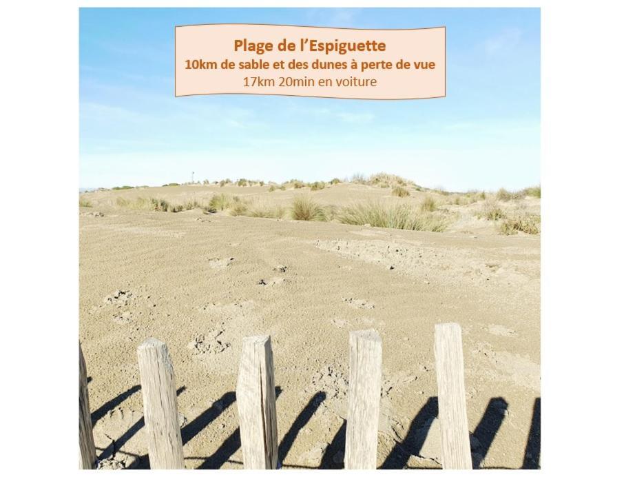 T2 Fidji Vue Port Et Mer Parking Clim Wifi - Rossiconciergerie - Linge En Option La Grande Motte Exteriör bild